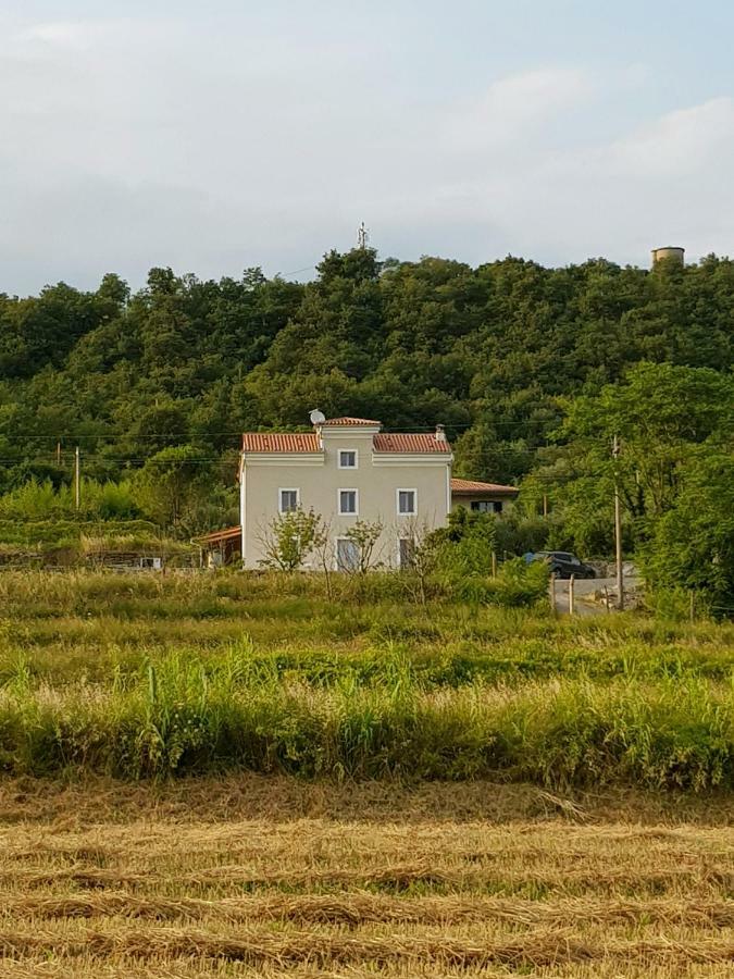 Vila Flora Secovlje Exterior photo